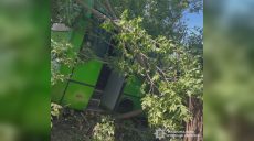 Водителю автобуса в Харькове стало плохо за рулем, транспорт слетел в кювет 📷