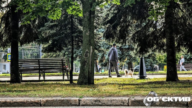 Центральный парк в Харькове задорого отремонтирует тротуары и газон – ХАЦ