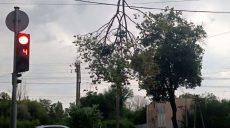 Ураган в Харькове: коммунальщики показали первые последствия (фото)