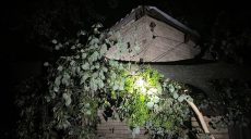 Сорванные крыши, поваленные деревья – последствия урагана на Харьковщине