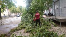 Какой вред нанес невиданный ураган в Харькове, сообщил Терехов