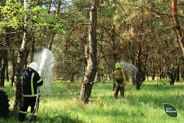 Як намагаються захистити ліси від пожеж на Харківщині