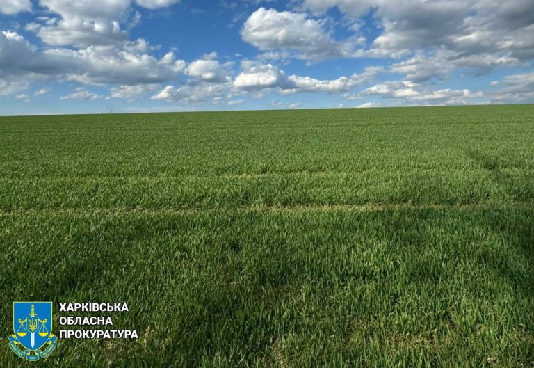Підприємство звело теплиці й так утратило землі на 14 млн грн на Харківщині