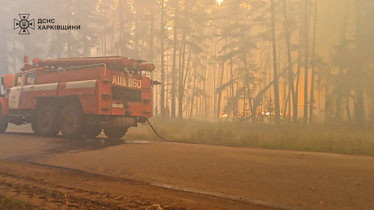 Горить ліс у Харківській області