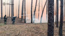 На Харьковщине — масштабные пожары: горят пять лесов и поля
