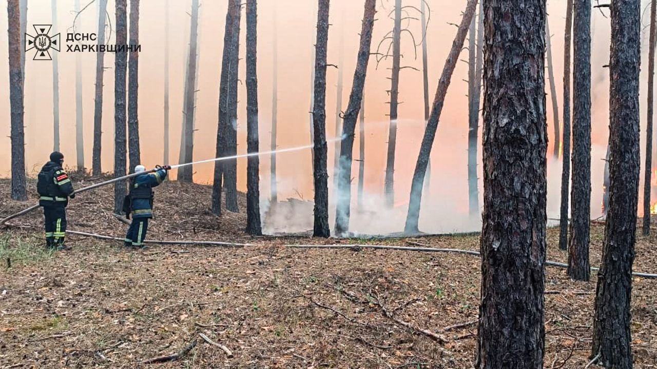 На Харківщині – масштабні пожежі: горять п’ять лісів і поля