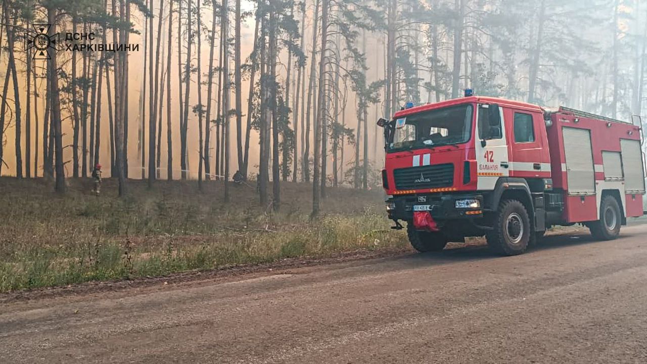 Горить ліс у Харківській області 3