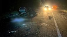 Смертельное ДТП на Киевской трассе случилось в Харьковской области (фото)
