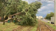 Крыши и провода: в мэрии обновили данные о последствиях бури в Харькове (фото)