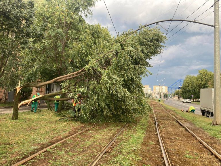 Дахи та дроти: у мерії оновили дані про наслідки бурі в Харкові (фото)