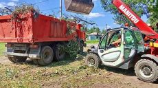 Мусорный рекорд установили коммунальщики Харькова: чем он вызван