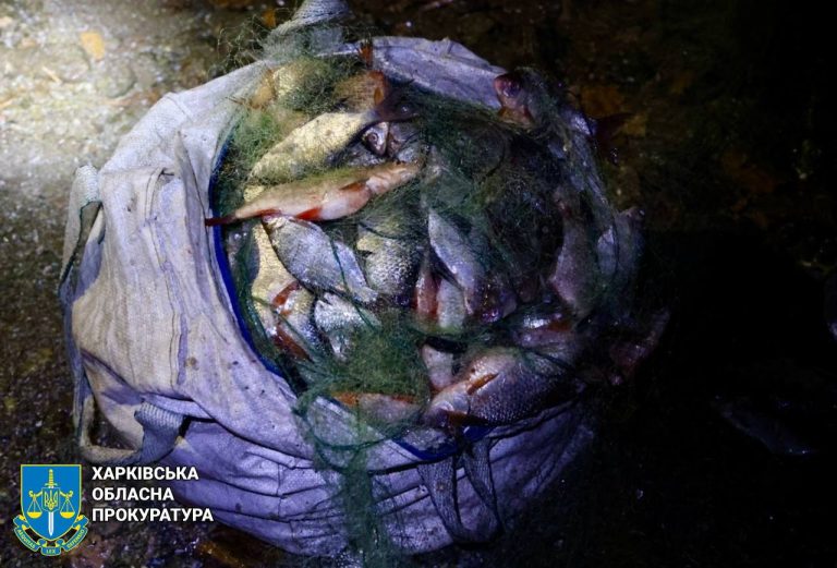 Рыбы на 750 тыс. грн выловил за раз браконьер на Харьковщине: что он поймал