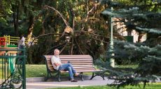 Полмесяца в Харькове устраняли последствия урагана — Терехов (фото)