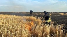 Хлебные поля Харьковщины россияне атаковали КАБами и FPV-дроном – есть раненый