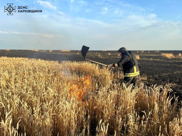 Хлебные поля Харьковщины россияне атаковали КАБами и FPV-дроном – есть раненый