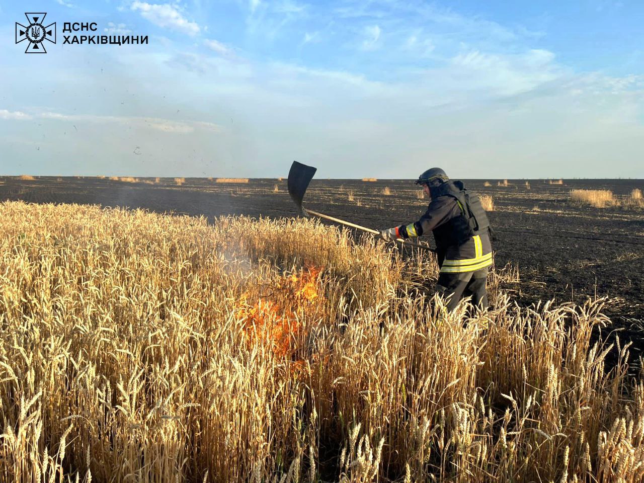 Хлебные поля Харьковщины россияне атаковали КАБами и FPV-дроном – есть раненый