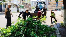 Какой вред нанес разрушительный ураган Харькову, подсчитывают в мэрии
