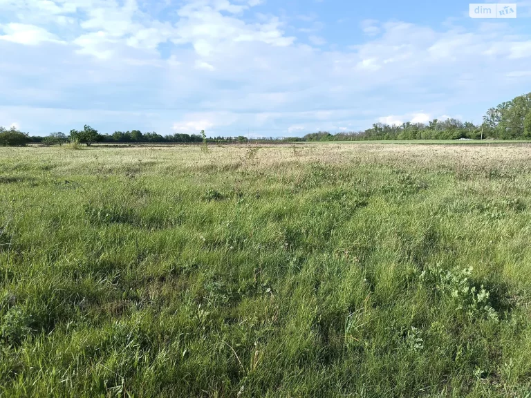 Харківщина лідирує через передачу ділянок землі в оренду «ДЕРЖЗЕМБАНКу»