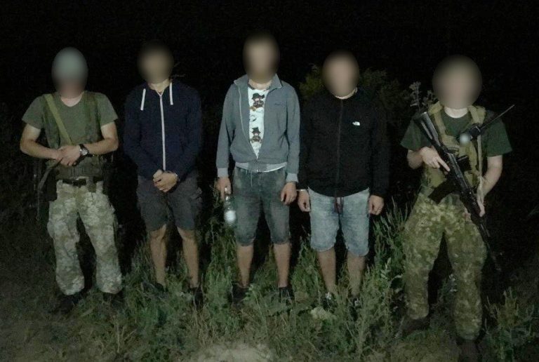 Причаїлися в кущах: харків’янина на кордоні помітив дрон (відео)
