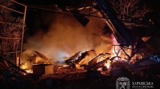 Семь БпЛА прилетели по Чугуевщине ночью – Синегубов