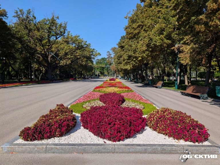 Новости Харькова — главное 1 сентября: задержали возможного убийцу Парубия