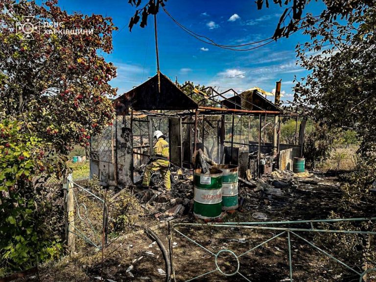 Пытался потушить пожар: мужчина на Харьковщине получил ожоги (фото)