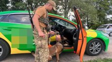 В Харьков хотели провезти 73 тыс патронов, 250 кг тротила, что еще: данные НГУ