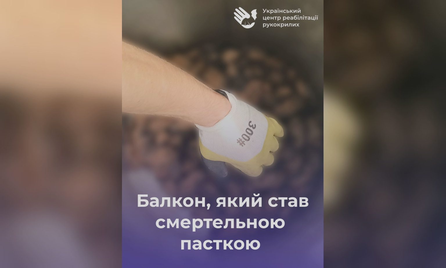 Балкон в Харькове стал ловушкой для стаи летучих мышей: погибли около 80