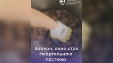 Балкон в Харькове стал ловушкой для стаи летучих мышей: погибли около 80