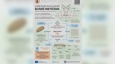 Опасный вредитель – в Украине: жителей просят обращаться в ГППС