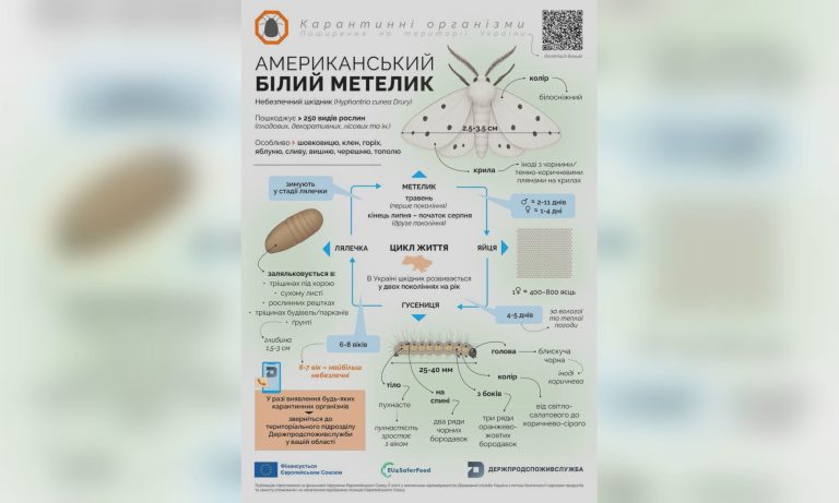 Опасный вредитель – в Украине: жителей просят обращаться в ГППС