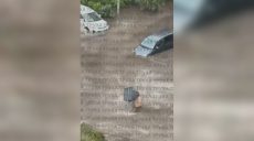 Вырванные деревья, перебои со светом, затопило улицы: в Киеве — непогода 📹