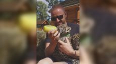 «Ще одна чудова новина»: в екопарку показали малюків-ягуарів (відео)
