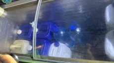 Нарколабораторию нашли в Харькове: один из фигурантов готовил плов на рынке 📹