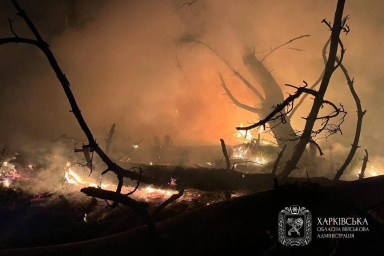 По Чугуївському району вночі вдарили вісім БпЛА: Синєгубов – про добу