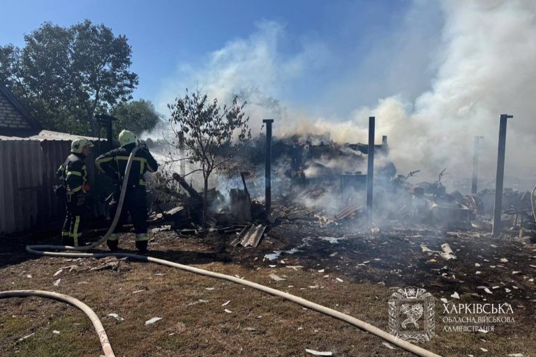 Десяток безпілотників атакував Харківщину за добу: дані Синєгубова