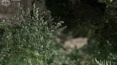 В Харькове собаку жестоко убил хозяин, соседи пытались спасти пса