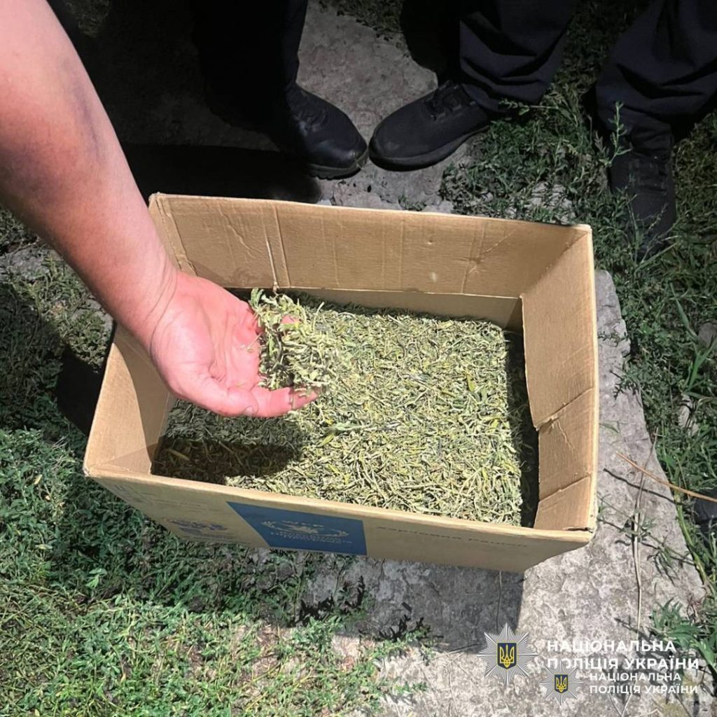 выращивали коноплю на Харьковщине