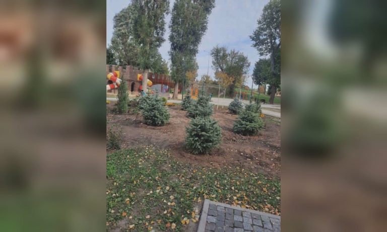 Редкие деревья и кусты появились в парке в Харькове: фото показала мэрия