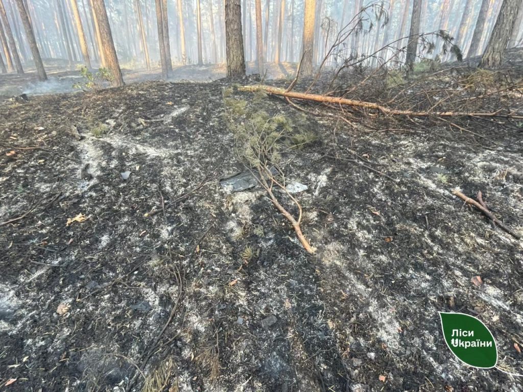 Лесной пожар на Харьковщине из-за обстрела