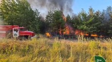 Изюмские леса горели в воскресенье, почти все пожары возникли из-за обстрелов