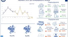 Яйца подорожали на Харьковщине, одеться стало дешевле – облстат