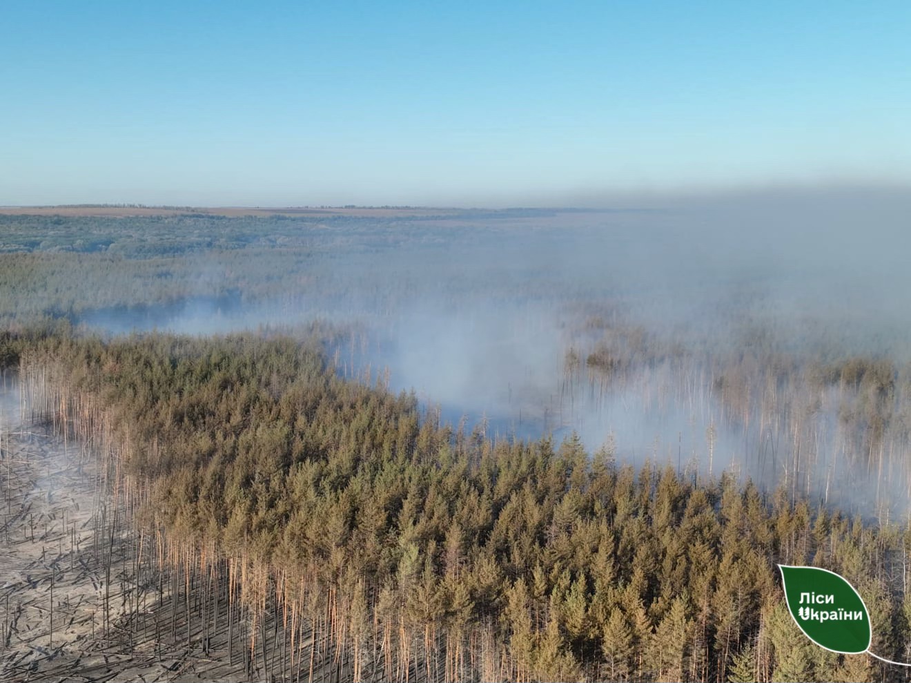 Горят леса в Изюмском районе Харьковской области