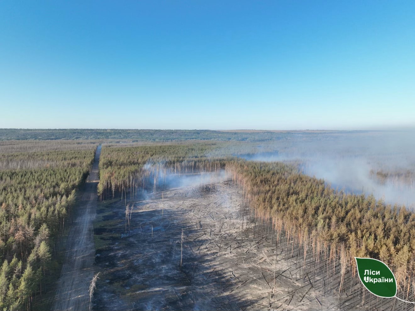 Горять ліси в Ізюмському районі Харківської області
