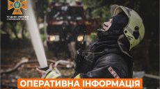 Семь лесных пожаров пытаются потушить спасатели – данные ГСЧС