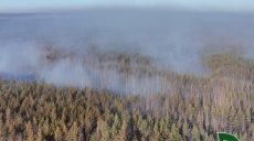 Пожар в заминированном лесу локализировали на Харьковщине: он охватил 25,6 га