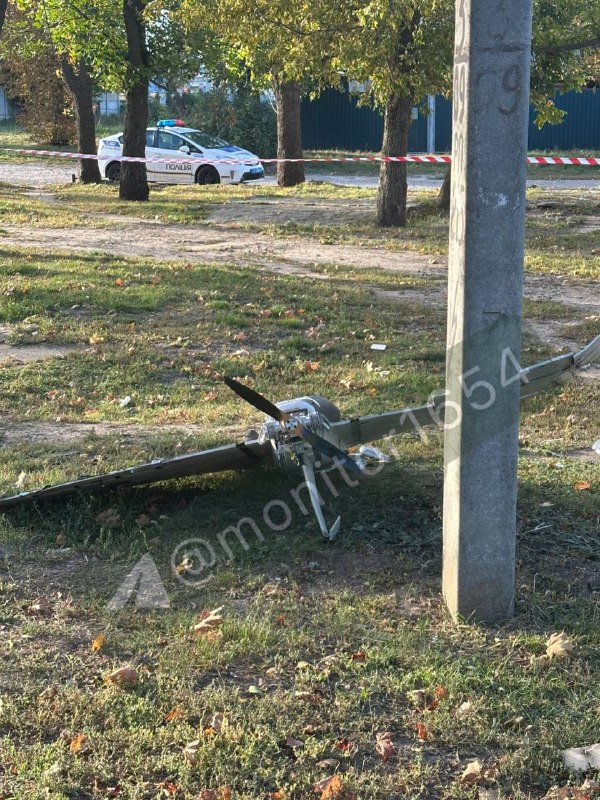 Герберу нашли в Харькове