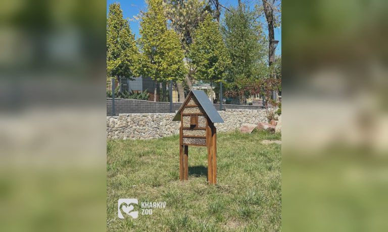 Необычная гостиница появилась в зоопарке в Харькове: для кого ее создали
