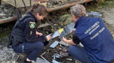 Ворожі БпЛА атакували Харків напередодні, заявили в прокуратурі (фото)