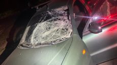 Автівка наїхала на пішохода у місті на Харківщині: чому це сталося